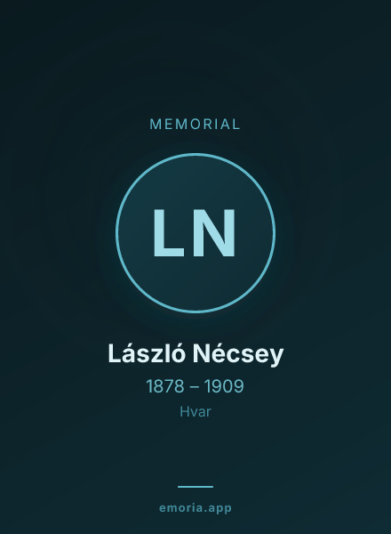 Memorial portrait of László Nécsey