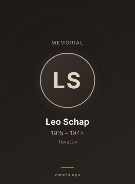 Memorial portrait of Leo Schap