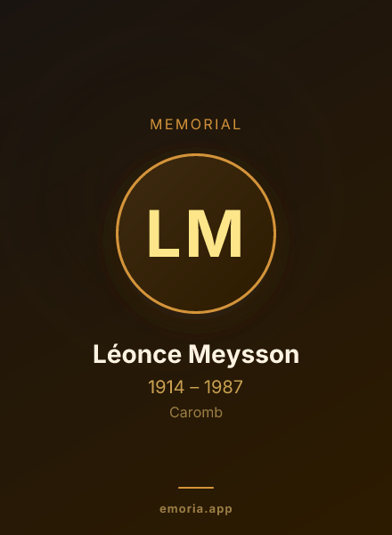 Memorial portrait of Léonce Meysson