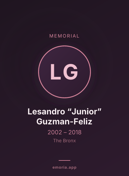 Memorial portrait of Lesandro “Junior” Guzman-Feliz