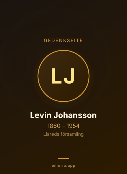 Gedenkportrait von Levin Johansson