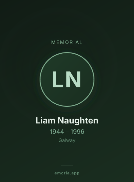 Memorial portrait of Liam Naughten