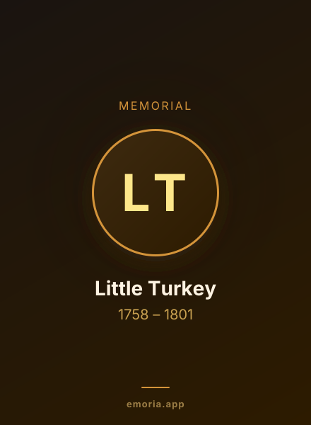 Memorial portrait of Little Turkey