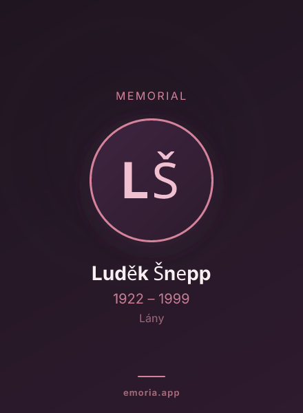 Memorial portrait of Luděk Šnepp