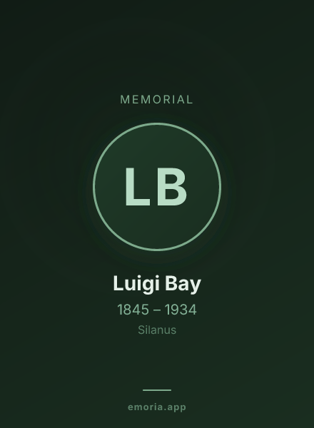 Memorial portrait of Luigi Bay