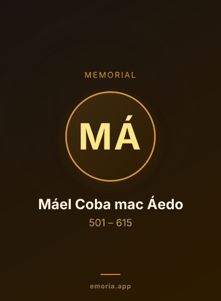 Memorial portrait of Máel Coba mac Áedo