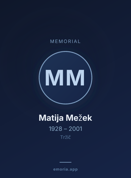 Memorial portrait of Matija Mežek