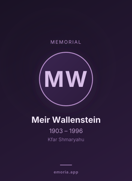 Memorial portrait of Meir Wallenstein