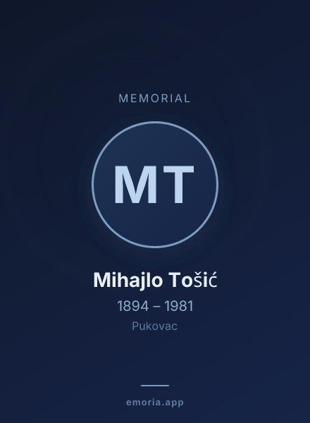 Memorial portrait of Mihajlo Tošić
