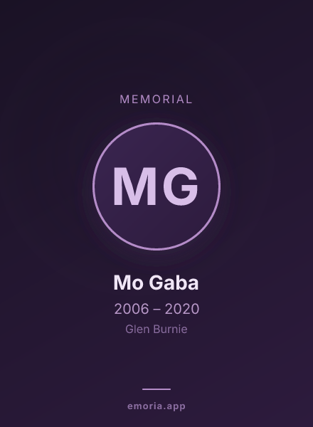 Memorial portrait of Mo Gaba