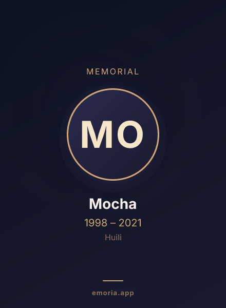Memorial portrait of Mocha