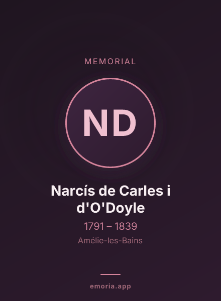 Memorial portrait of Narcís de Carles i d'O'Doyle