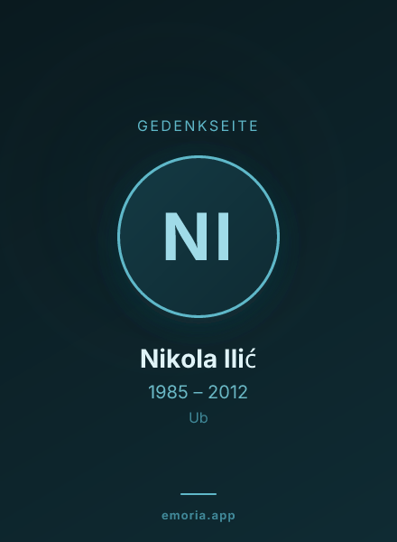 Gedenkportrait von Nikola Ilić