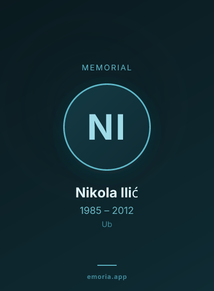 Memorial portrait of Nikola Ilić