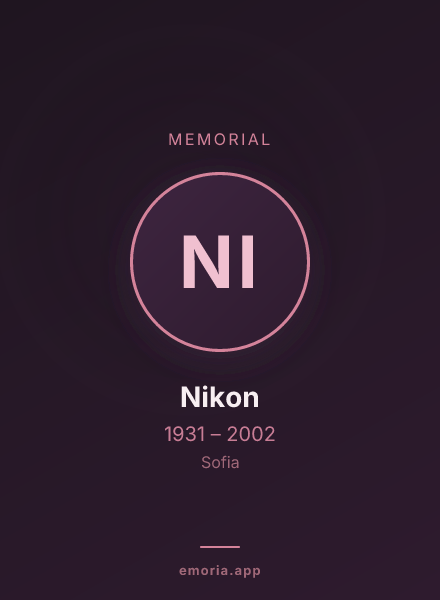 Memorial portrait of Nikon