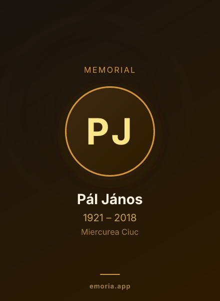 Memorial portrait of Pál János