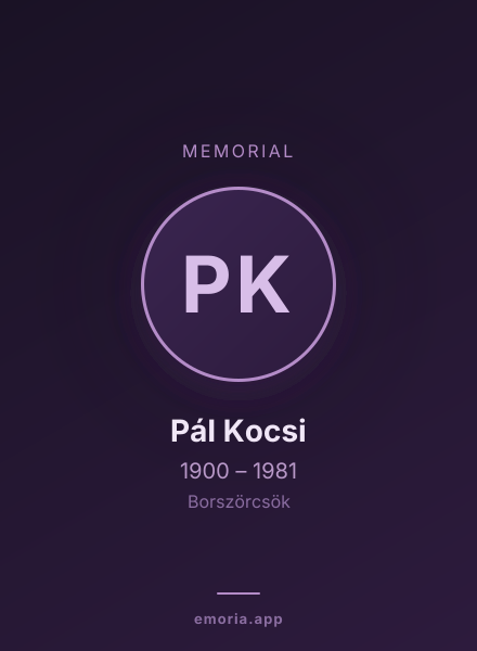 Memorial portrait of Pál Kocsi