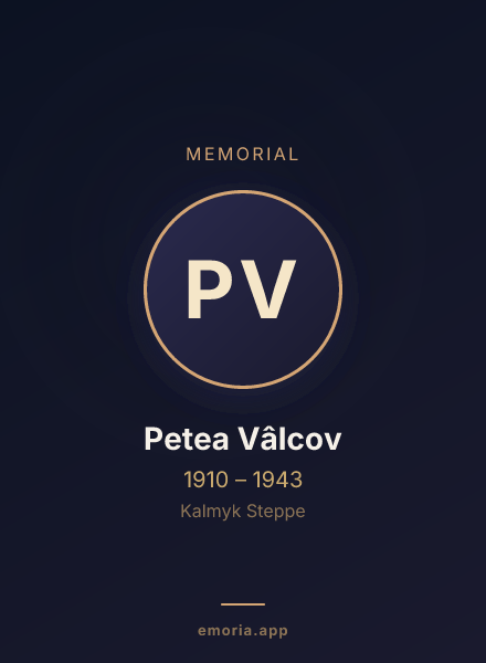 Memorial portrait of Petea Vâlcov