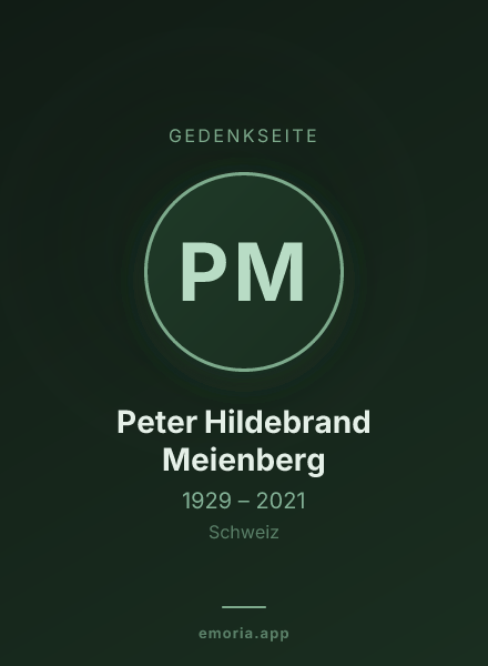 Gedenkportrait von Peter Hildebrand Meienberg