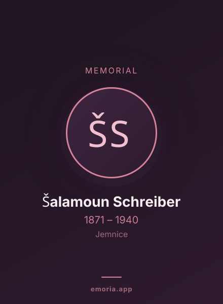 Memorial portrait of Šalamoun Schreiber