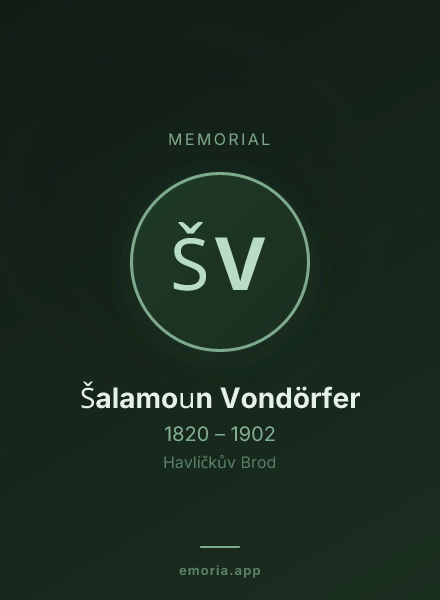 Memorial portrait of Šalamoun Vondörfer