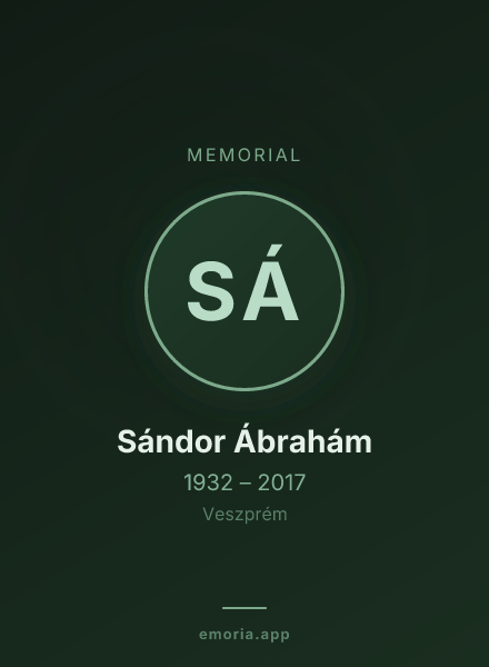 Memorial portrait of Sándor Ábrahám