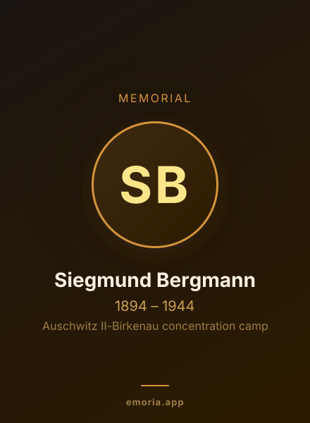 Memorial portrait of Siegmund Bergmann