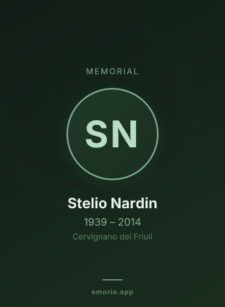 Memorial portrait of Stelio Nardin