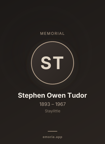 Memorial portrait of Stephen Owen Tudor
