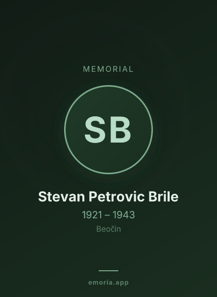 Memorial portrait of Stevan Petrovic Brile