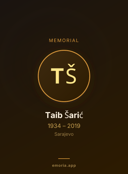 Memorial portrait of Taib Šarić