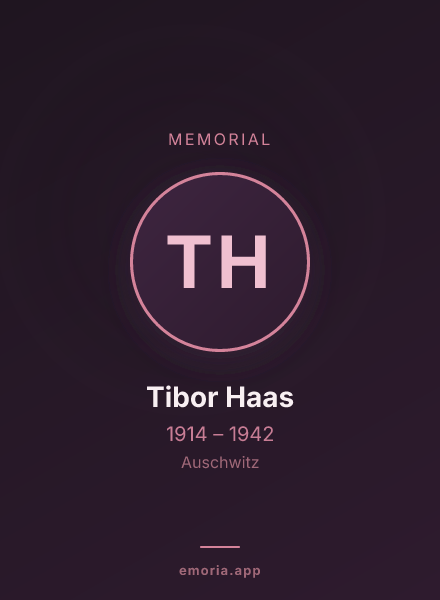 Memorial portrait of Tibor Haas