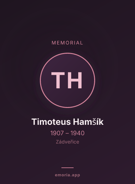 Memorial portrait of Timoteus Hamšík