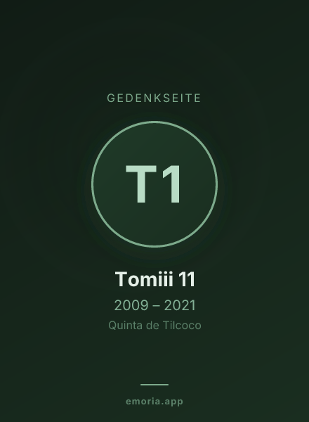 Gedenkportrait von Tomiii 11