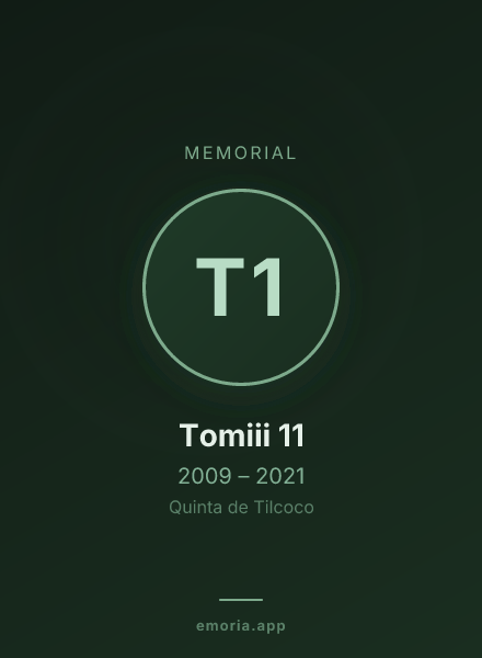 Memorial portrait of Tomiii 11