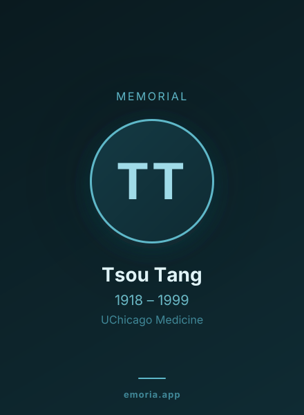 Memorial portrait of Tsou Tang