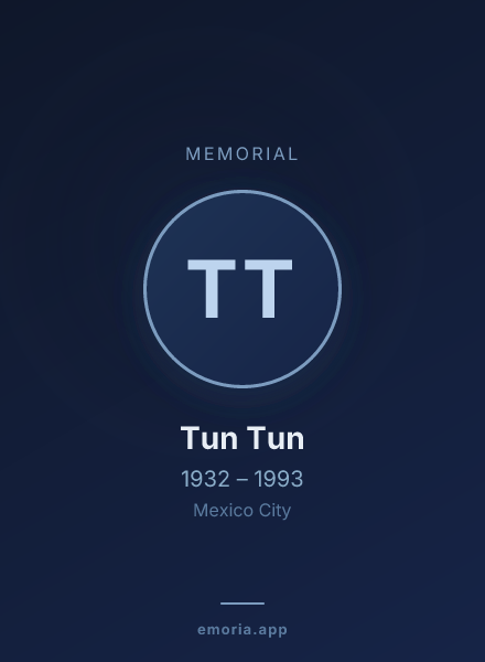 Memorial portrait of Tun Tun