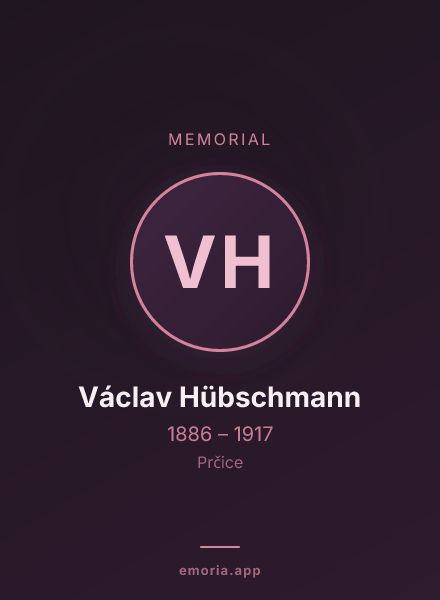 Memorial portrait of Václav Hübschmann