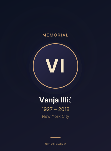 Memorial portrait of Vanja Illić