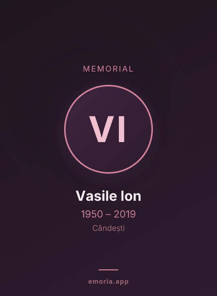 Memorial portrait of Vasile Ion