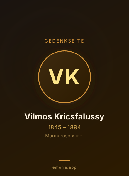Gedenkportrait von Vilmos Kricsfalussy