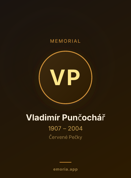 Memorial portrait of Vladimír Punčochář