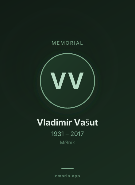 Memorial portrait of Vladimír Vašut