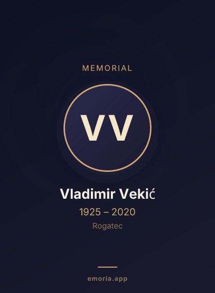 Memorial portrait of Vladimir Vekić