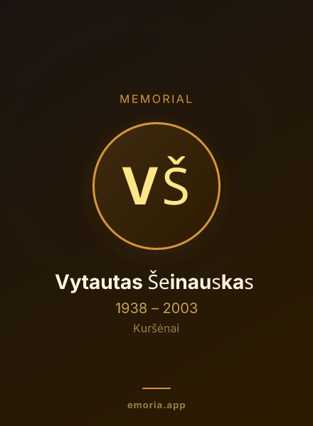 Memorial portrait of Vytautas Šeinauskas