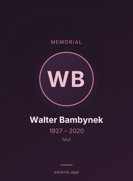 Memorial portrait of Walter Bambynek