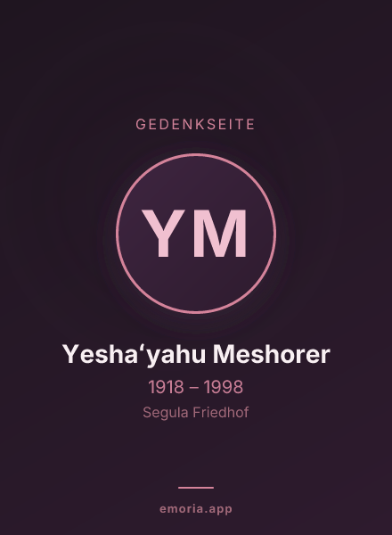 Gedenkportrait von Yeshaʻyahu Meshorer