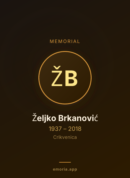 Memorial portrait of Željko Brkanović