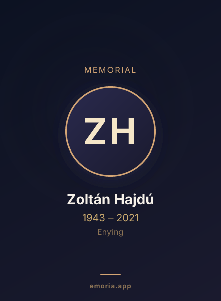 Memorial portrait of Zoltán Hajdú