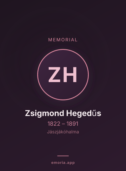 Memorial portrait of Zsigmond Hegedűs